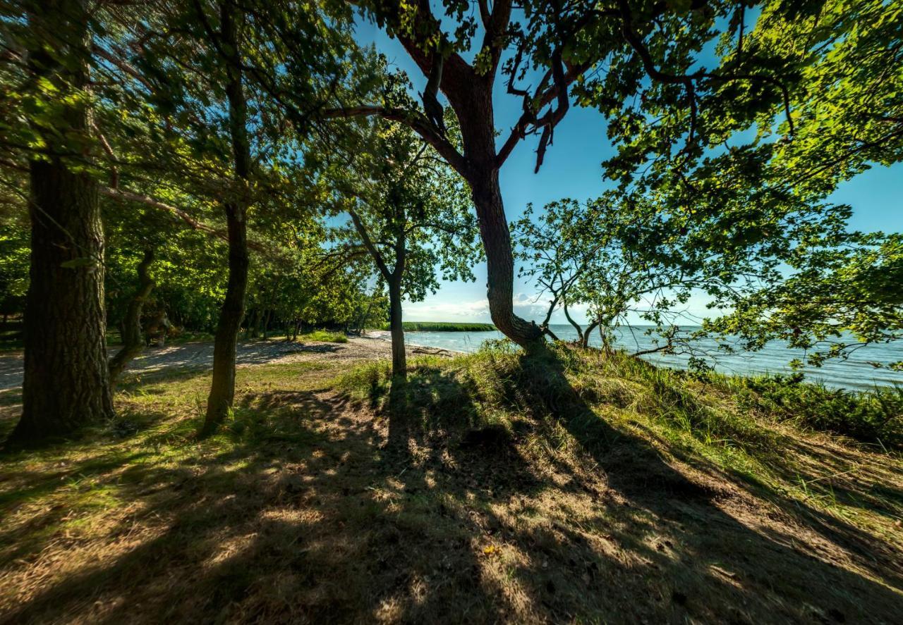 Traumhaff Kuestenchalets - Einzigartige Chalets An Der Ostsee. Ganz Aus Laerchenholz Mit Kamin Und Sauna Vogelsang-Warsin Exterior foto